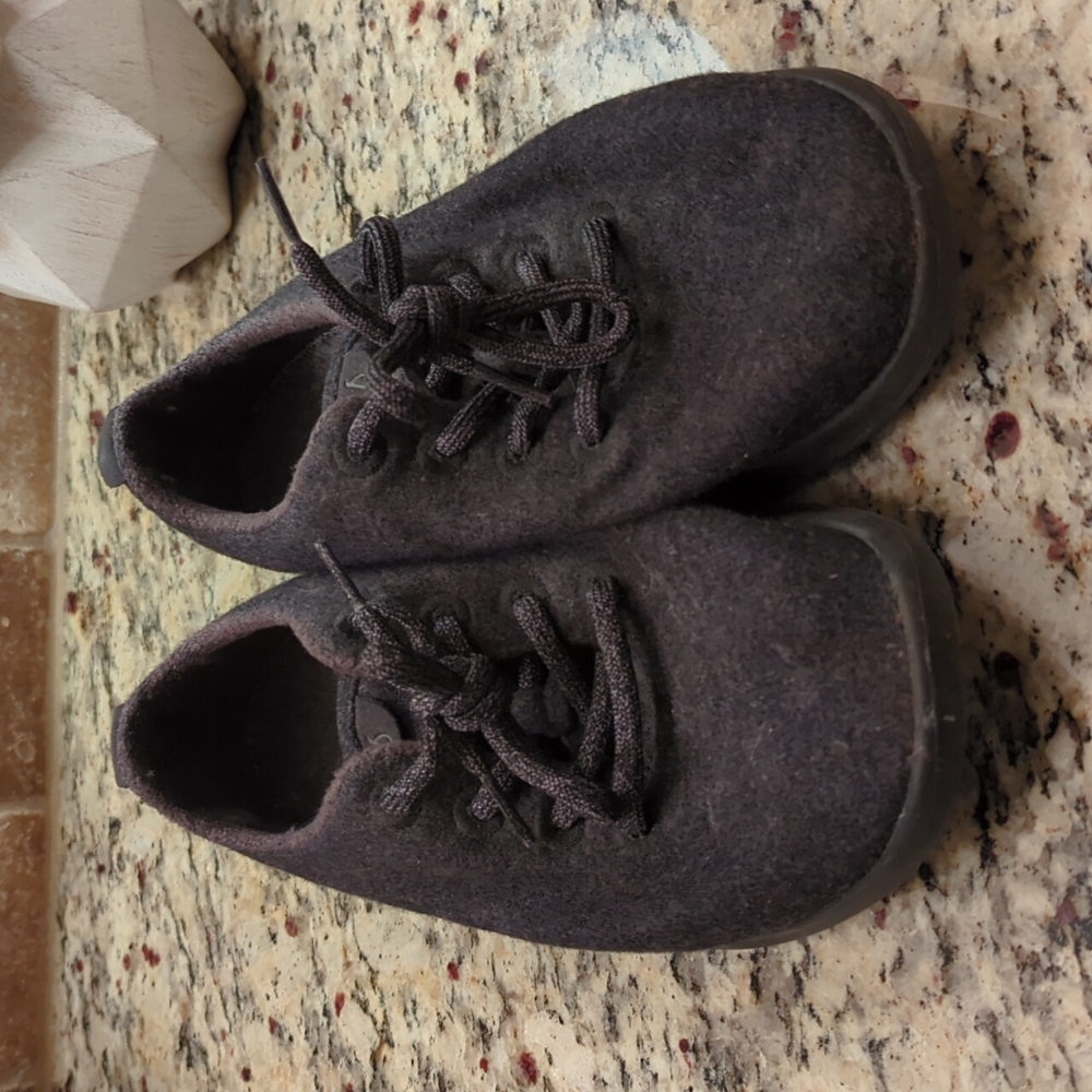 Allbird Sneakers